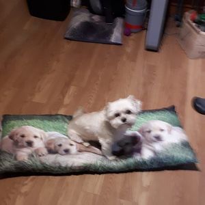 Meet your Posher, Lori